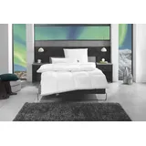 fan 3-Kammer-Kopfkissen »f.a.n. Island«, (1 St.), weiß B/L: 80 cm x 80 cm
