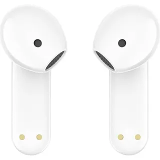 TIMEKETTLE WT2 Edge offline tragbares Übersetzungsgerät