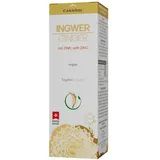 cannsol Ingwer mit Zink