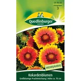 Quedlinburger Kokardenblume ''großblumige Prachtmischung''