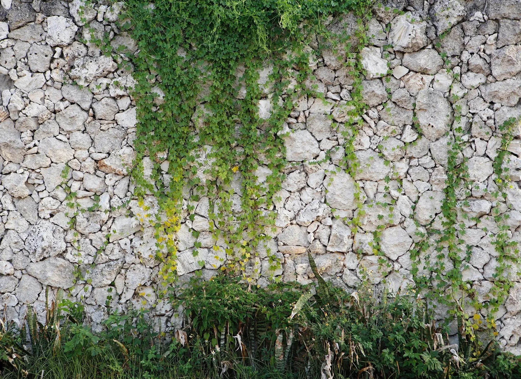 Fototapete LIVING WALLS 