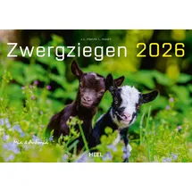 HEEL VERLAG Kalender Zwergziegen 2026
