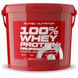 Scitec Nutrition 100 % Whey Protein Professional Erdbeer Pulver 5000 g