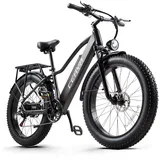 eBike 26 Zoll E-Mountainbike 48V 20AH Elektrofahrrad 45km/h E-Fahrrad Fatbike