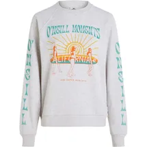 O'Neill Beach Vintage Sweatshirt Melange Weiß 34