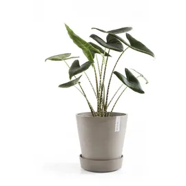 Ecopots Untersetzer Amsterdam Rollen Taupe 28,7 cm x 8,3 cm