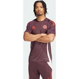 Adidas FC Bayern München Tiro 24 Trainingstrikot Shadow Maroon / Red S