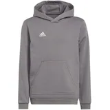 adidas Entrada 22 Hoodie Kinder tegrfo 152