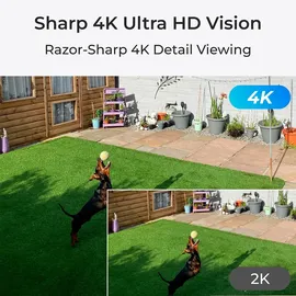 Reolink Trackmix Series P760 4K Weiß