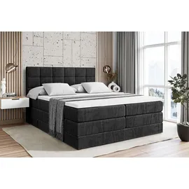 altdecor APO KING 120 x 200 cm H3/H4 Schwarz