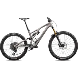 Specialized Stumpjumper Evo Pro Grau Modell 2024