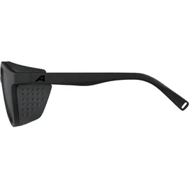 Alpina Glace all black matt 31 Schwarz