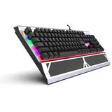 inca IKG-444 Mechanisch, RGB, BLUE Switches, USB, DE
