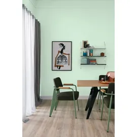 Schöner Wohnen Trendfarbe 2,5 l macaron matt