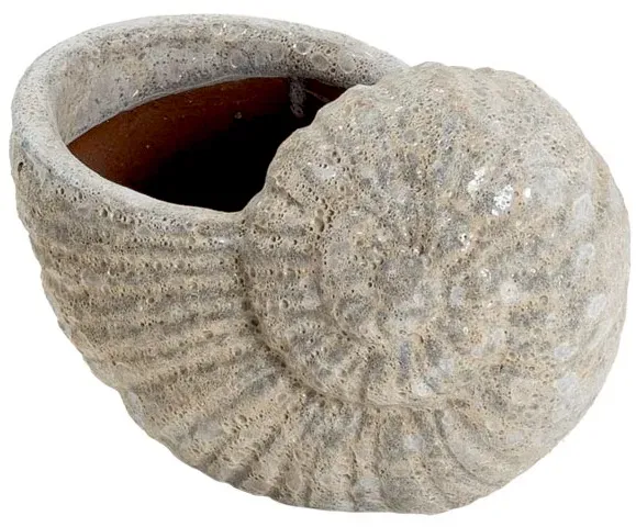 Muschel Poki - Sandweiß - 31 cm