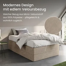 home collective Boxspringbett 120 x 200 cm H2 Beige