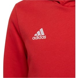 Adidas Entrada 22 Hoodie Kinder tepore 116