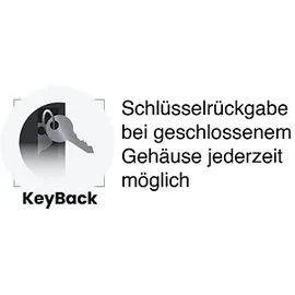 Pavo Schlüsseltresor Elektronikschloss / Sicherheitsstufe High Security / keine Sicherheitsstufe