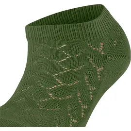 Falke Family Special Edition Sneakersocken 1 Paar Grün 39-42
