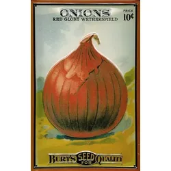 Blechschild „Onions“
