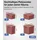 Rotho Stapelbox Maloja 40 x 23,5 x 34 cm 4-tlg. rot