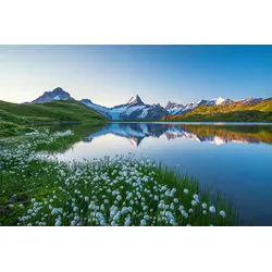Fototapete PAPERMOON "LANDSCHAFT-GEBIRGE BERGE SEE ALPEN BLUMEN NATUR TAPETE", bunt, B:3,50m L:2,60m, Vlies, Tapeten
