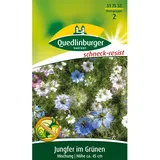 Quedlinburger Jungfer im Grünen Nigella ''Mischung''