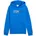 Logo Lab Mountain Blue 152