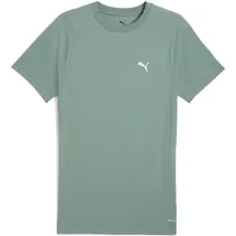 Puma Unisex Evostripe Tee T-Shirts, Green Moon, L EU