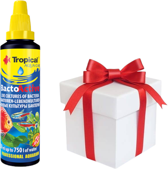 TROPICAL Bacto-Active 250ml + Probe von Tropical Fischfutter (Rabatt für Stammkunden 3%)