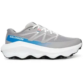 Salomon Ultra Flow 2 Herren Alloy / White / French Blue 44