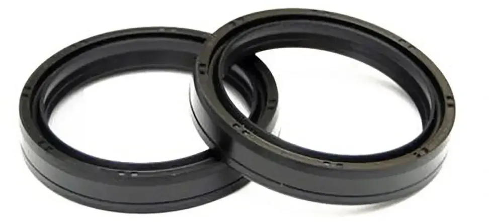 Centauro D.48x57.9x11.5mm Rsa Gabelöl-dichtungssatz 2 Einheiten - Black - One Size