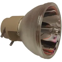 Osram Beamerlampe (nur Leuchtmittel) für VIVITEK (ersetzt: XX5810003300)