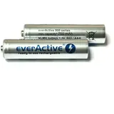 Everactive Akku AA 2000 mAh 2 St.