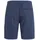 Protest PRTComie Shorts Blau M