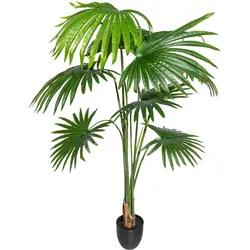 CREATIV green künstliche Pflanze Washingtonia, ca 150cm