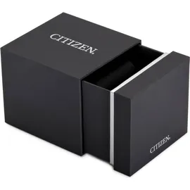 Citizen EP6051-14L