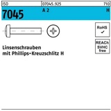 Reyher Flachkopfschraube ISO 7045 PH M6x 45-H A 2 200 Stück