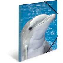 Herma Sammelmappe Tiere A3 delfin