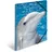 A3 delfin