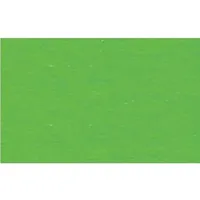Ursus Schultüte aus Fotokarton 68 cm grasgrün
