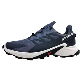 Salomon Supercross 4 GTX Herren Grisaille/White/Carbon 42