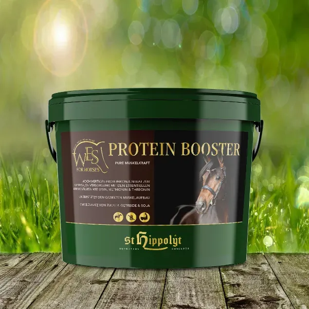 St. Hippolyt WES for Horses - Protein Booster 4 kg