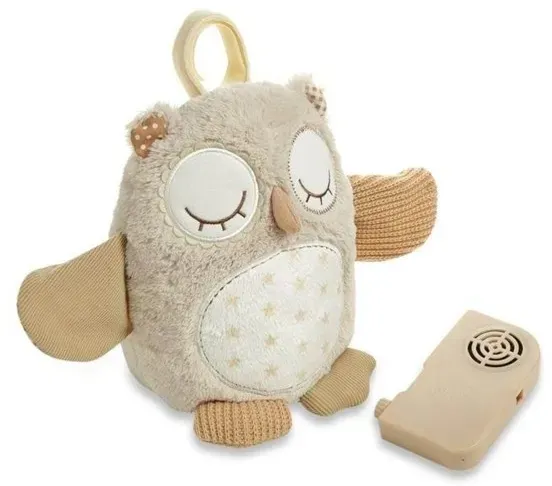 Nighty Night Owl