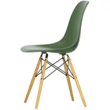 Vitra - Eames Plastic Side Chair DSW RE, Ahorn gelblich / forest (Filzgleiter schwarz)