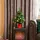 Homcom Weihnachtsbaum mit Stechpalmenbeeren, Kugeln und LED-Lichtern Grün 60 cm