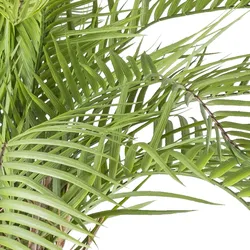 CREATIV green künstliche Pflanze Macauba-Palme, ca 175cm