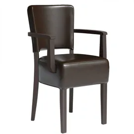 GGM Möbel Bistrostuhl LUCA ARM Kunstleder Dunkelbraun 2er Set