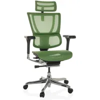 HJH Office Bürostuhl ERGOHUMAN SLIM GEN2 Netzstoff Grün