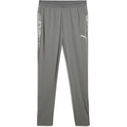Puma Teamcup Training Pants flat medium gray-puma silver-flat light gray (13) S